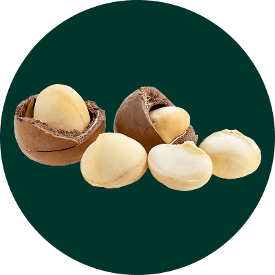 그릭베리 재료들