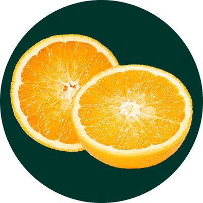 그릭베리 재료들