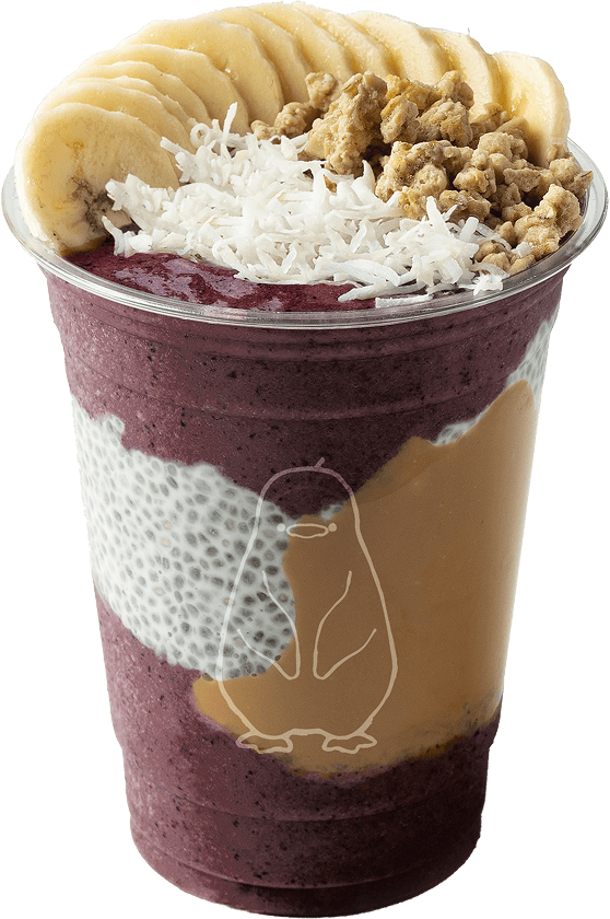 그릭베리 아사이베리